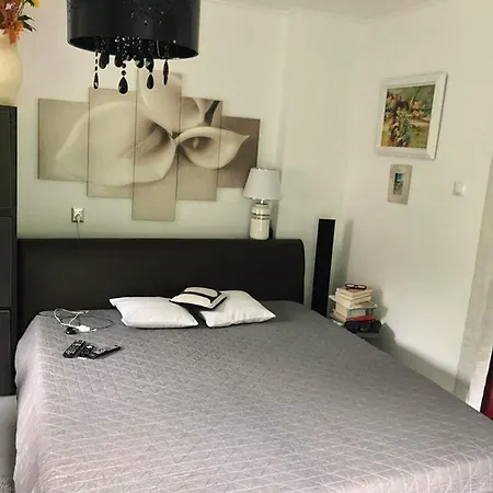 Wyposazony Przy Strumyku W Gorach Sowich, Smart Tv, Odpocznij W Naturze! Apartmán *