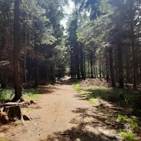 Wyposazony Przy Strumyku W Gorach Sowich, Smart Tv, Odpocznij W Naturze!