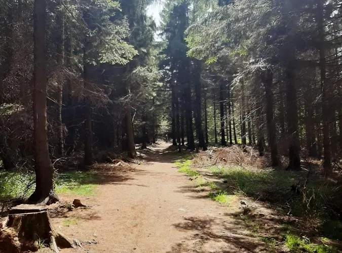 Wyposazony Przy Strumyku W Gorach Sowich, Smart Tv, Odpocznij W Naturze!